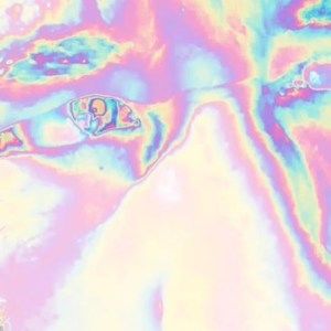 Meet your Posher, Wesley